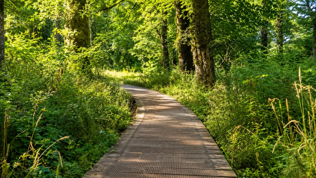 Mt. Talbert Nature Park in Clackamas, Oregon