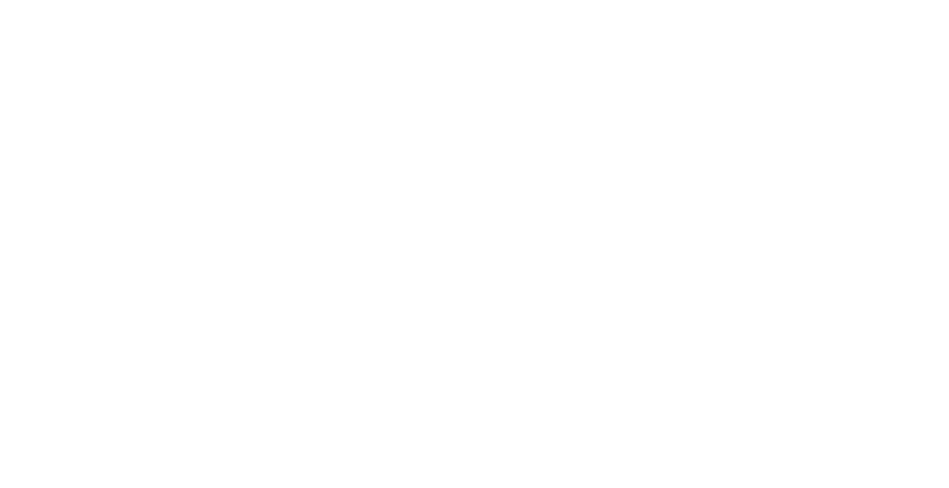 Forti Planning