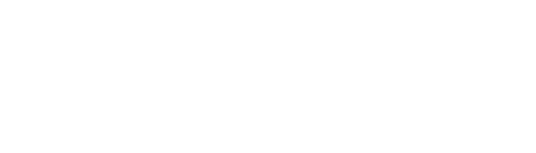 Fortis Planning - Brand Logo