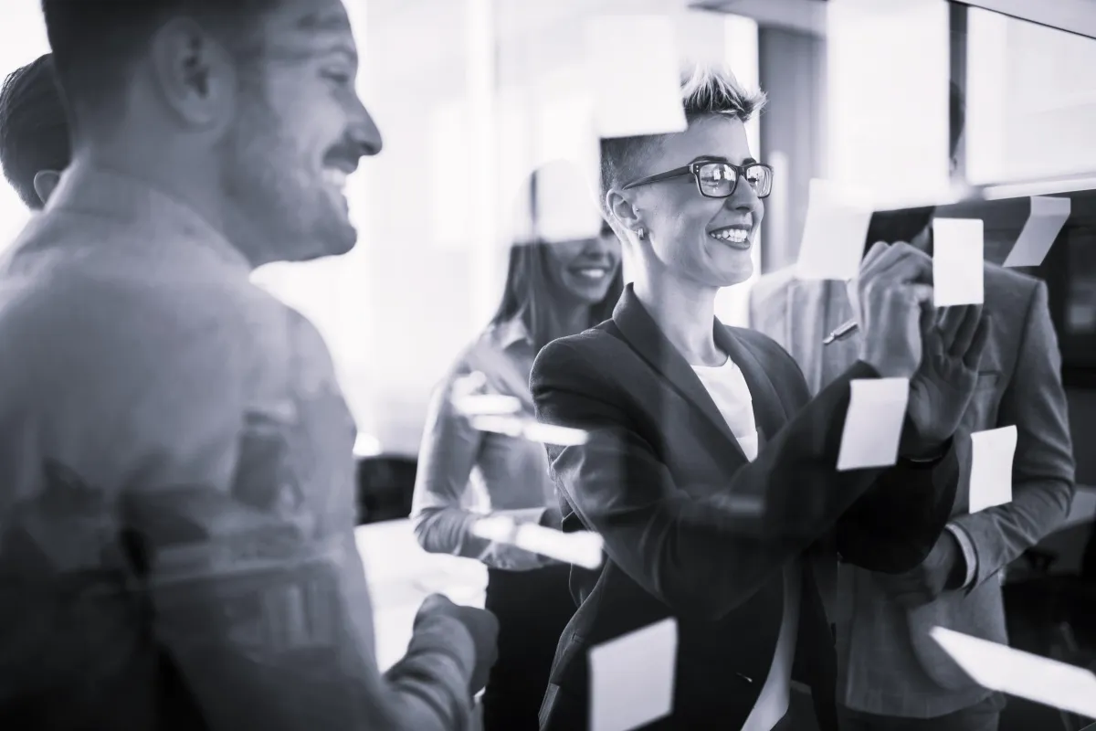 Small business academy elite shedload collective
