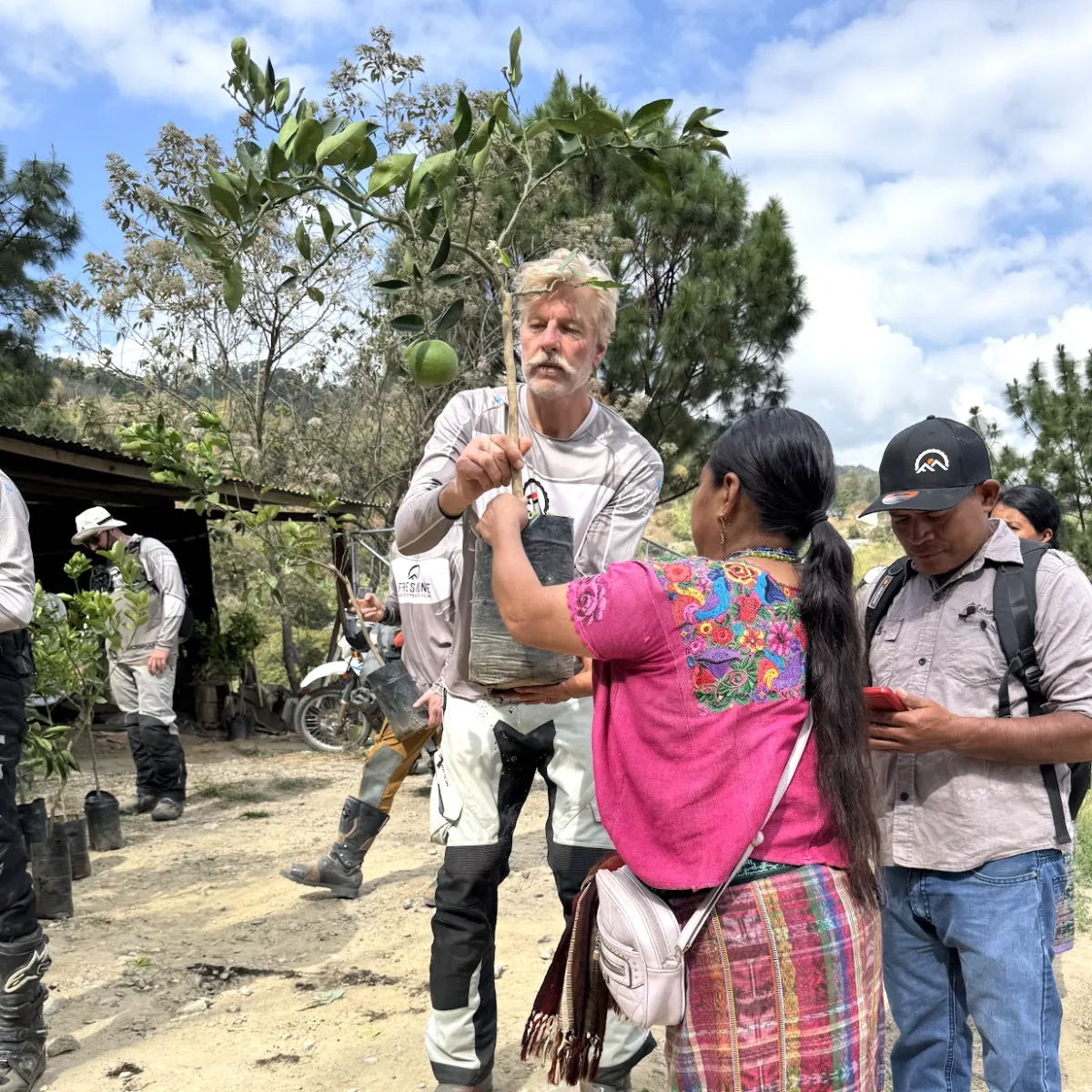 Playground collage image 1