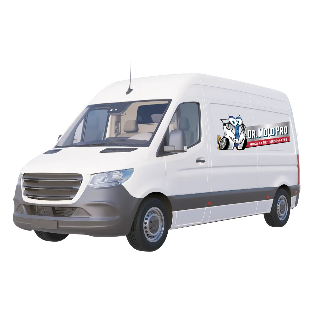 Company Van with Logo
