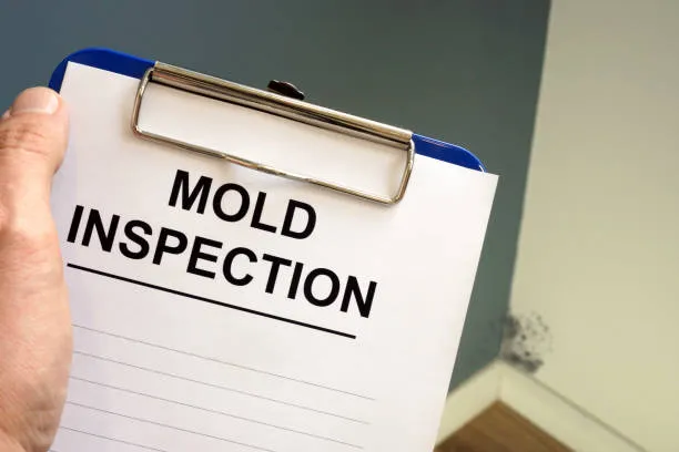 Clip Board with Mold Inspection on It.