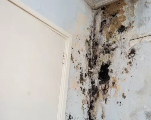 Water Damage Restoration in Austin
