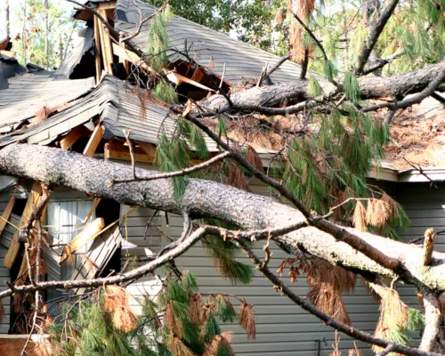 Wind Damage Restoration in Austin