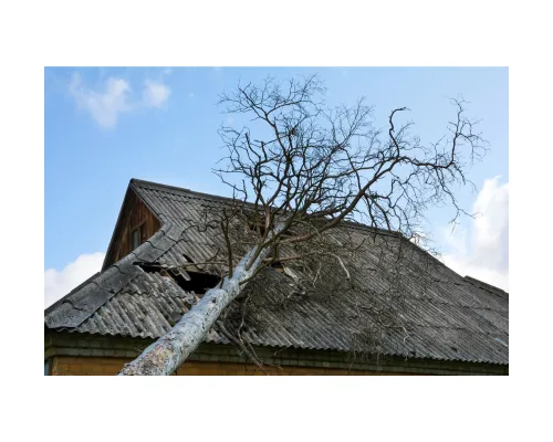  Building Restoration