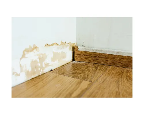 Round Rock Water Damage Restoration