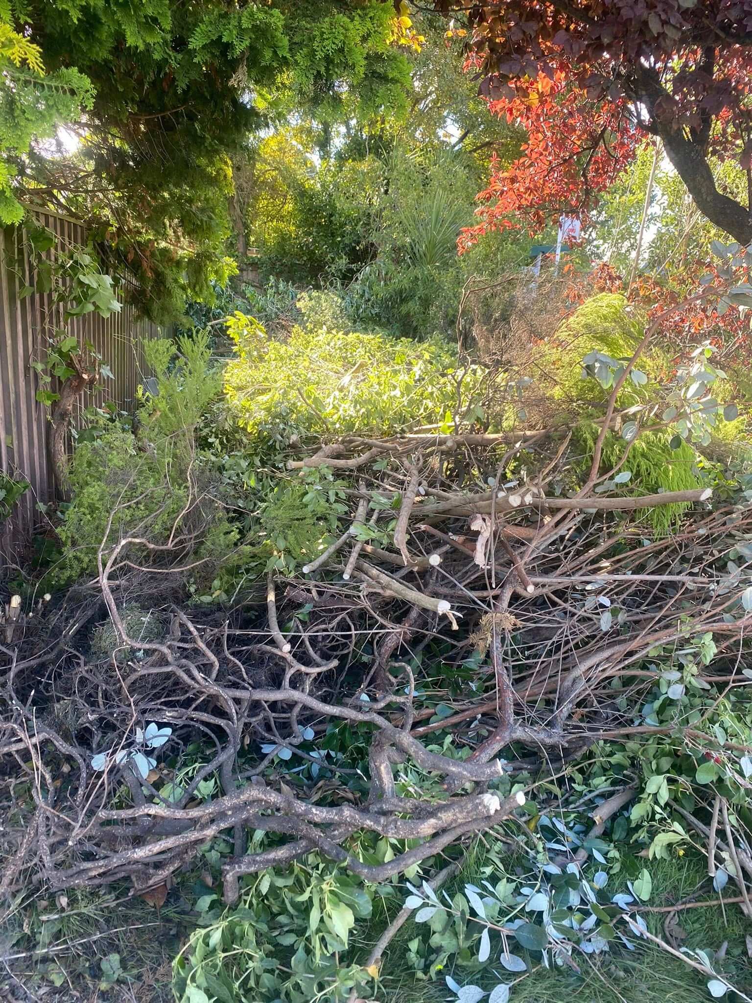 lawn mowing and garden cleaning Christchurch outdoor maintenance