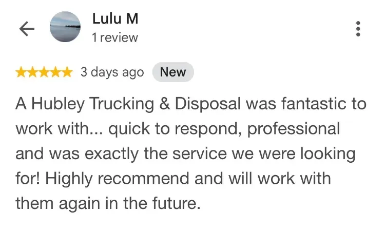 5-star Google review Lulu M