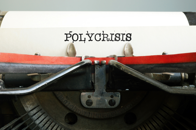polycrisis