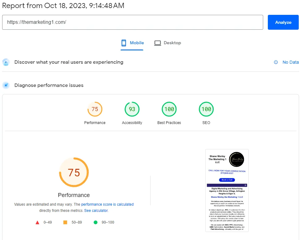 Performance Audit results for a business done on Google Ads Page Speeds Analysis Website