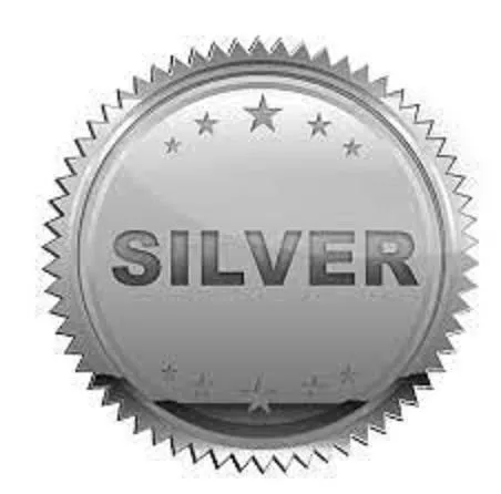 Silver Stamp Logo