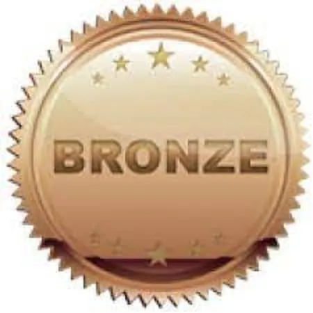 Bronze Stamp Logo
