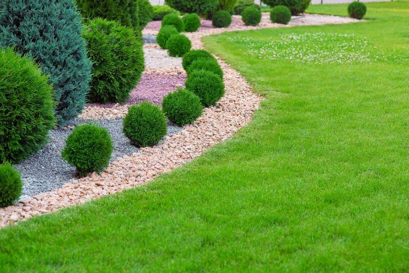 Lawn care with bushes arranged beautifully