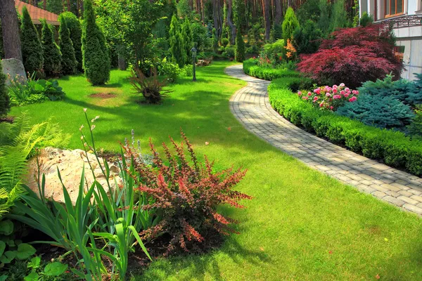 green grass next to sidewalk 