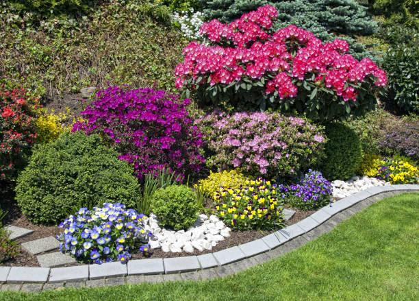 multicolored bushes