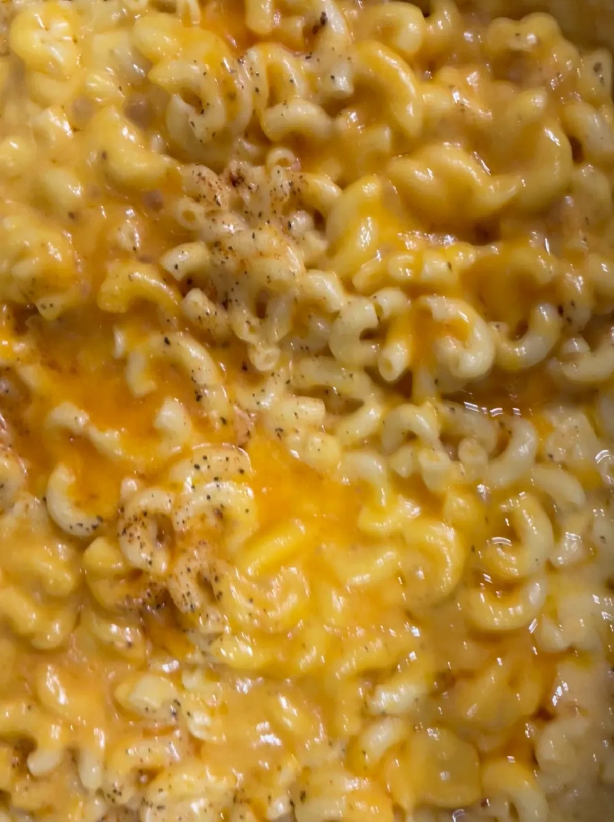 Creamy Macaroni and Cheese