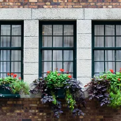 Exterior home image depicting 3 classy windows