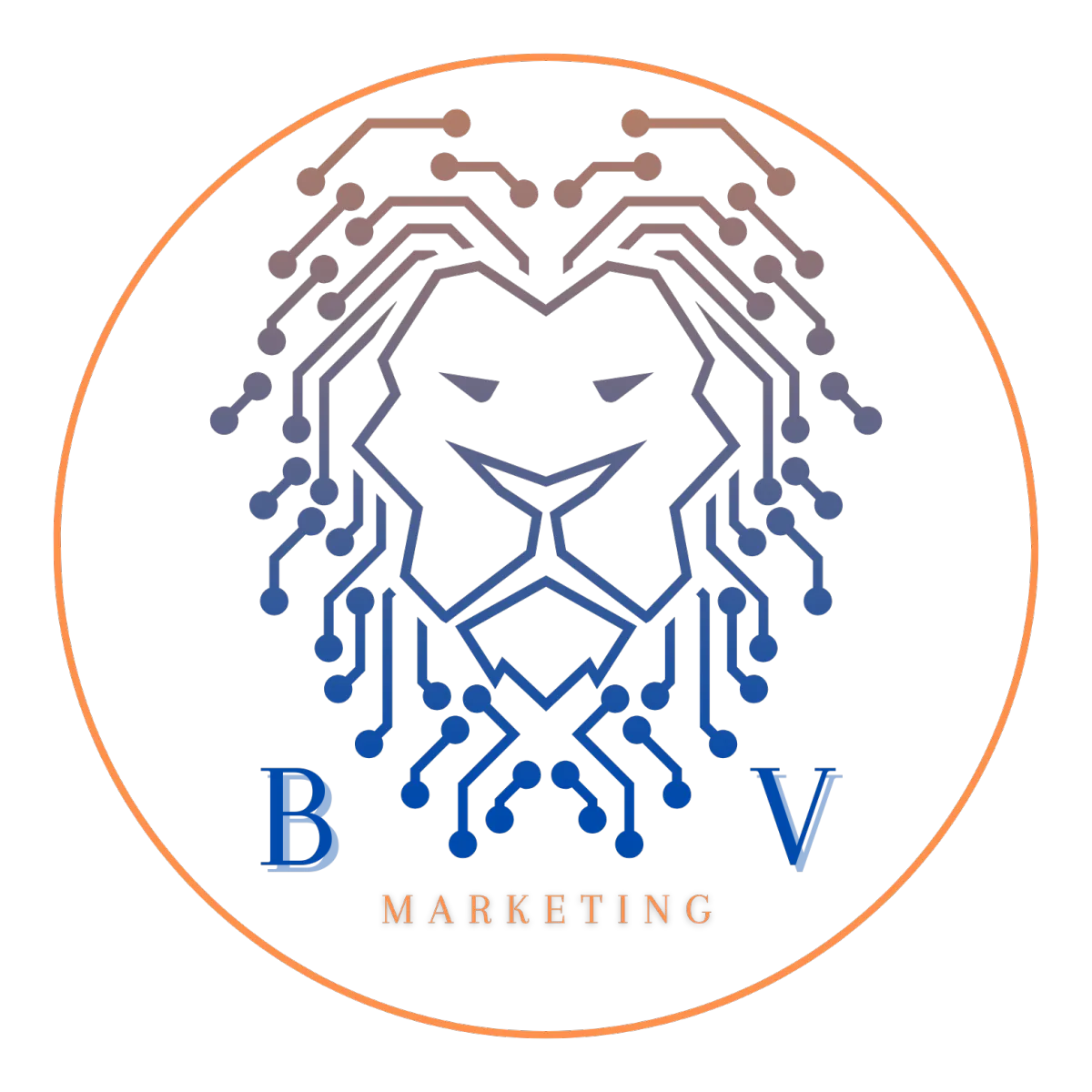 BV Marketing - Real Estate Marketing Experts