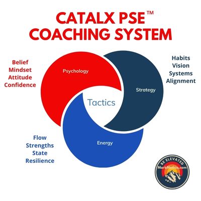 Mark Mathia Catalx PSE Coaching System