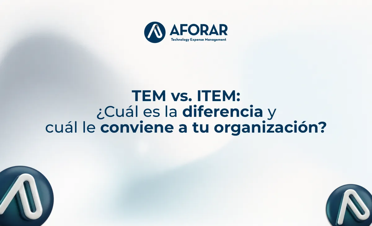 TEM vs. ITEM: ¿Cuál es la diferencia y cuál le conviene a tu organización?