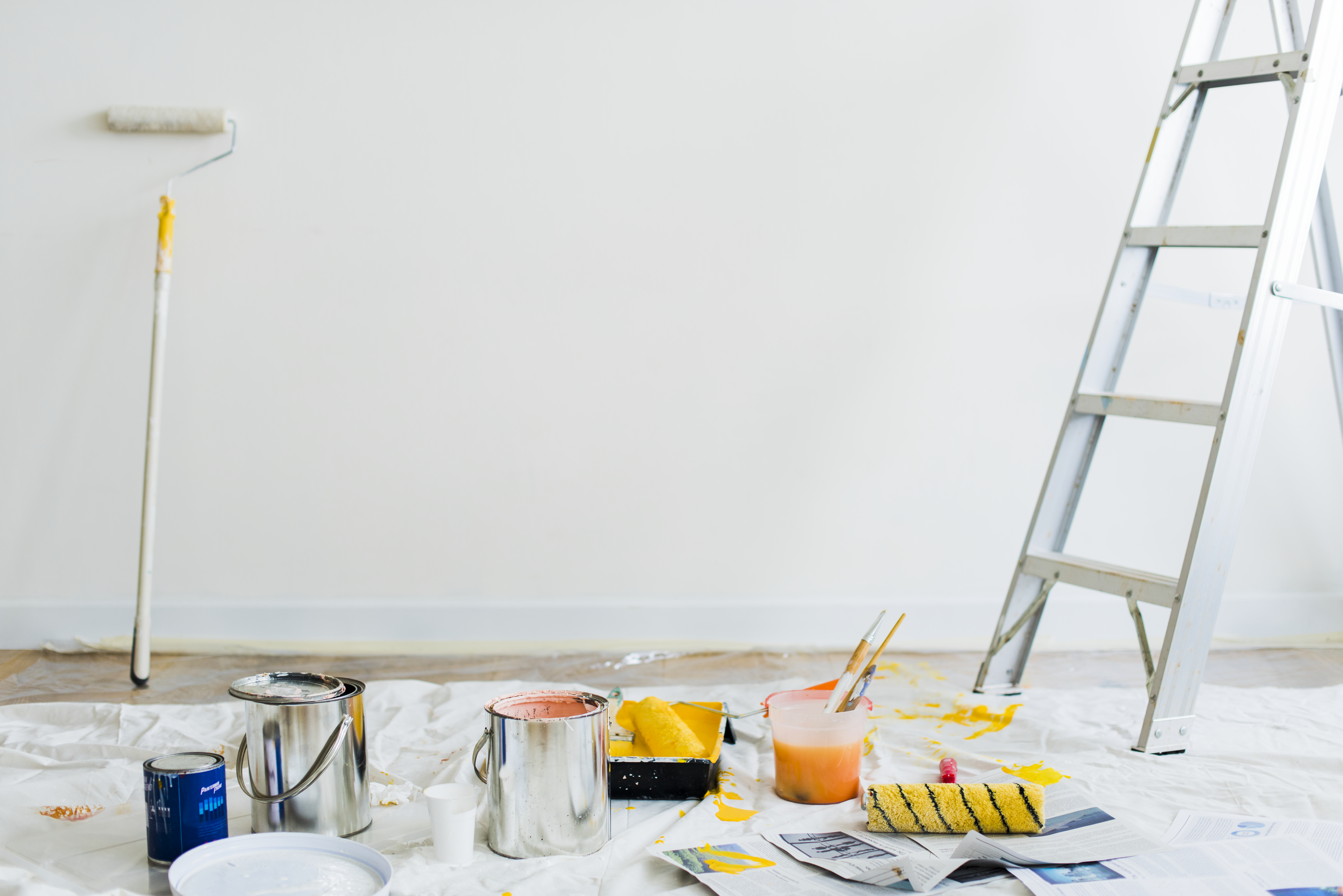 Painting & Decorating Services in Ivybridge