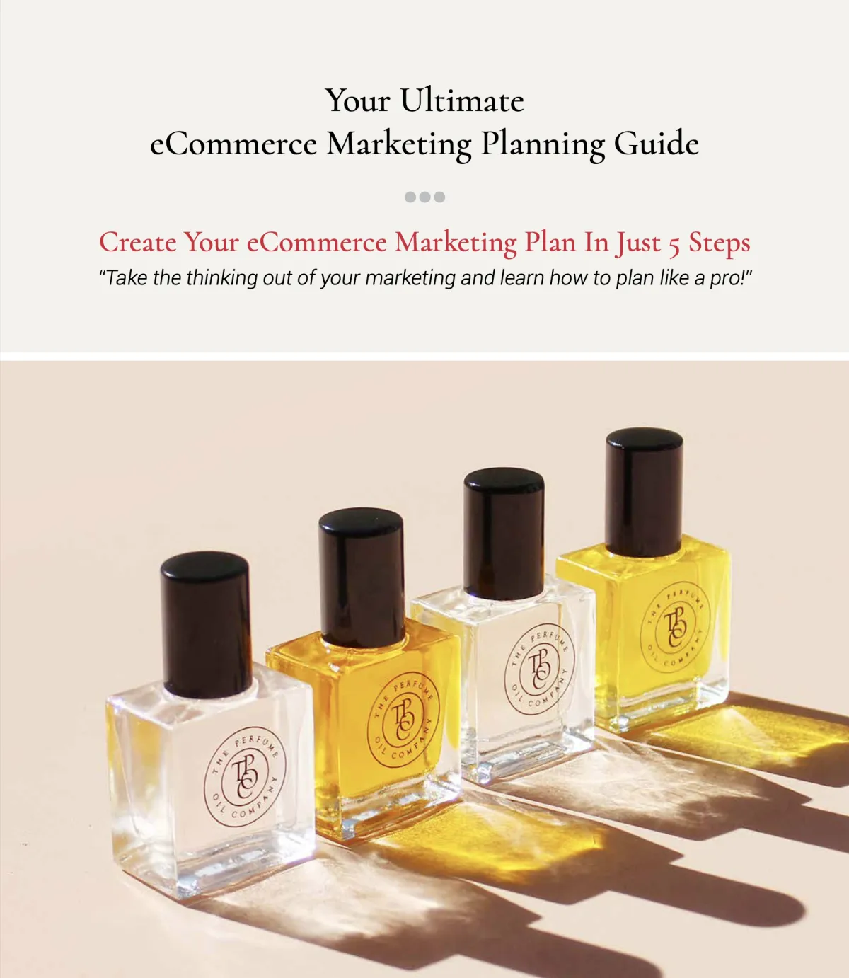 Ecom Sales Equation Guide