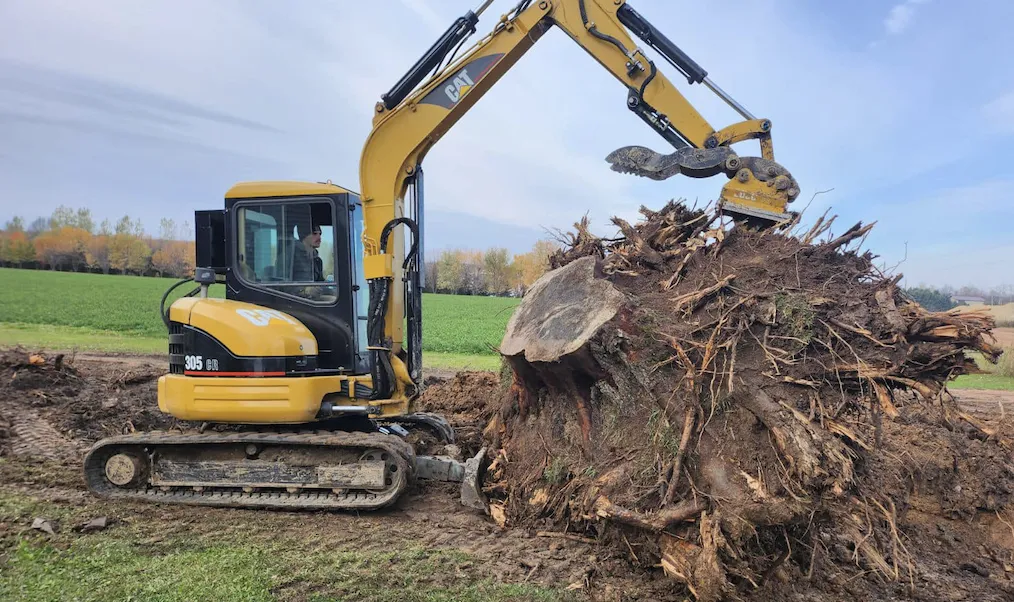 expert stump removal in progress