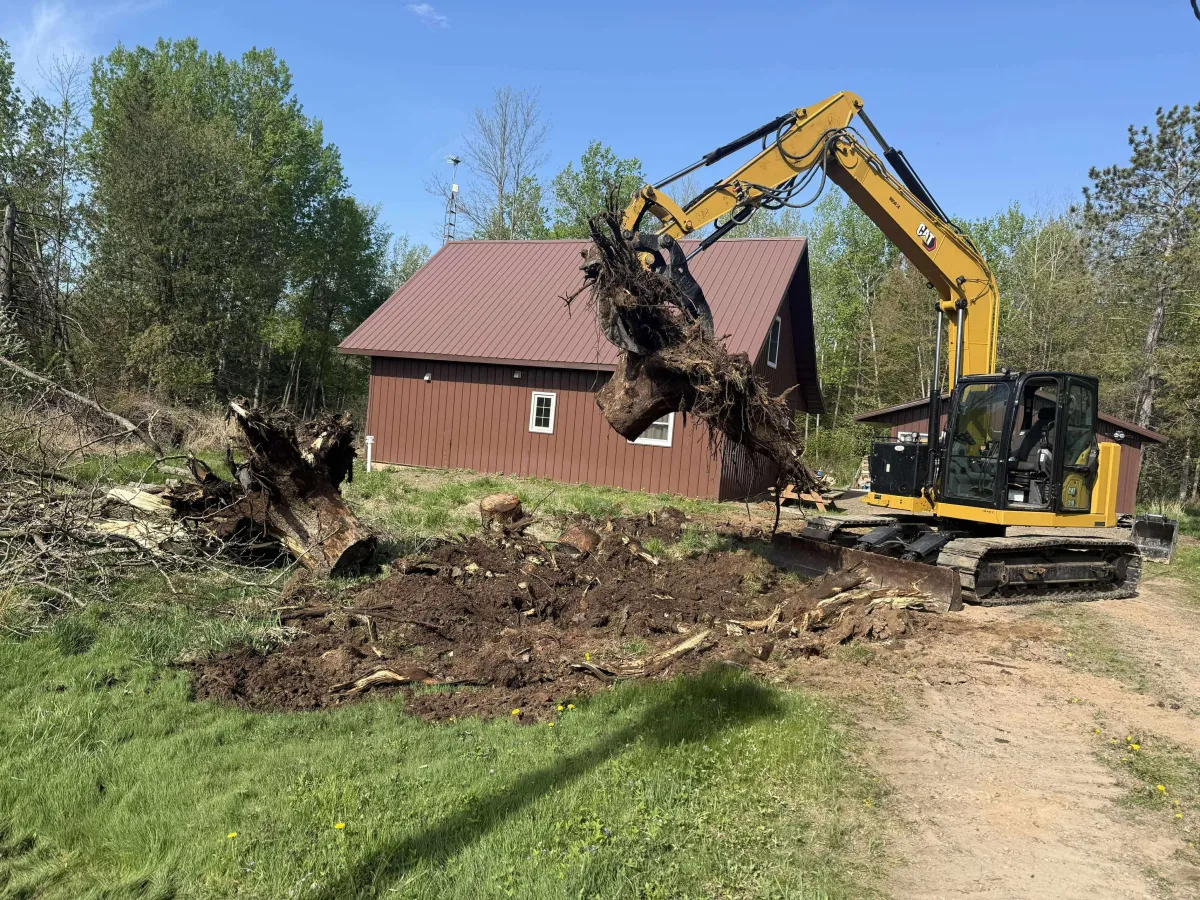 removing a large stump in Marshfield, Wisconsin