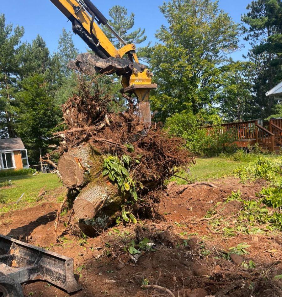 Large stump being removed in Central Wisconsin