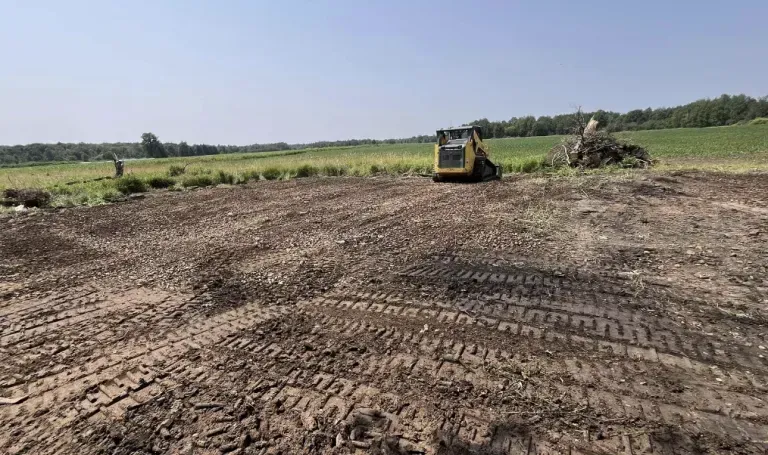 Land clearing service after photo