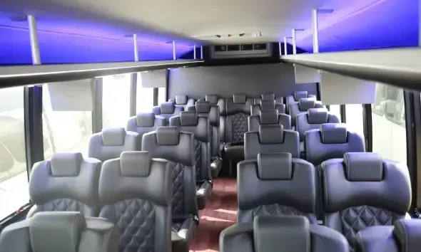 limo night out