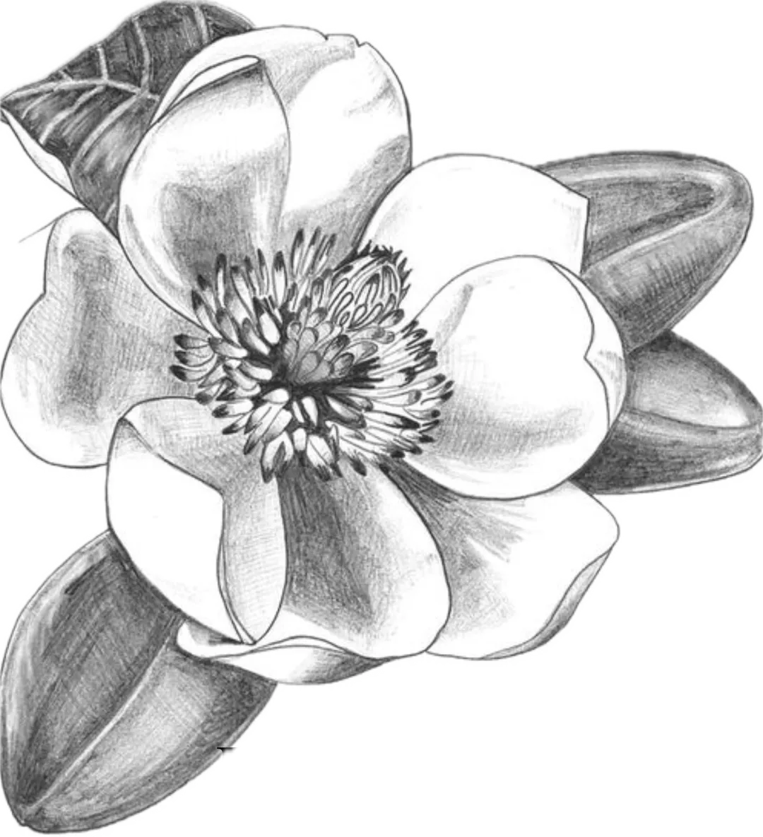 Magnolia Blue Events - Bozeman Wedding Planner