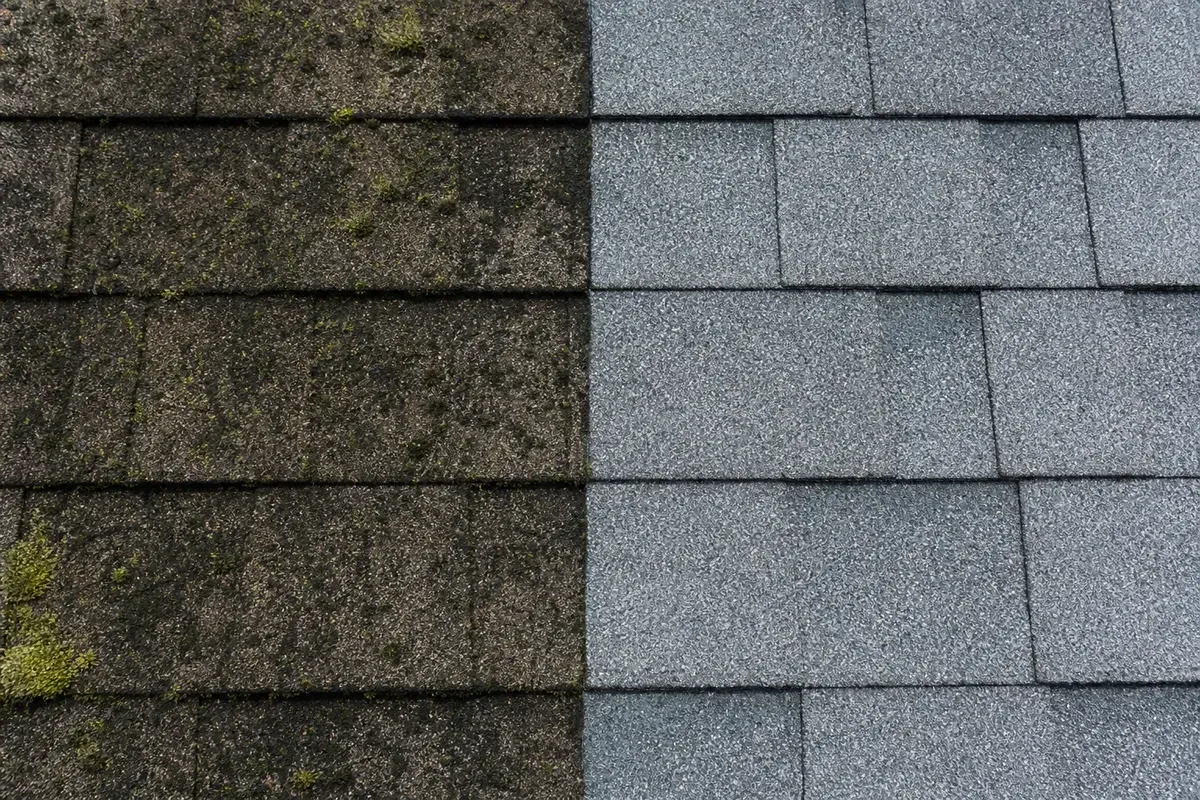 Huntington Station Roof Cleaning