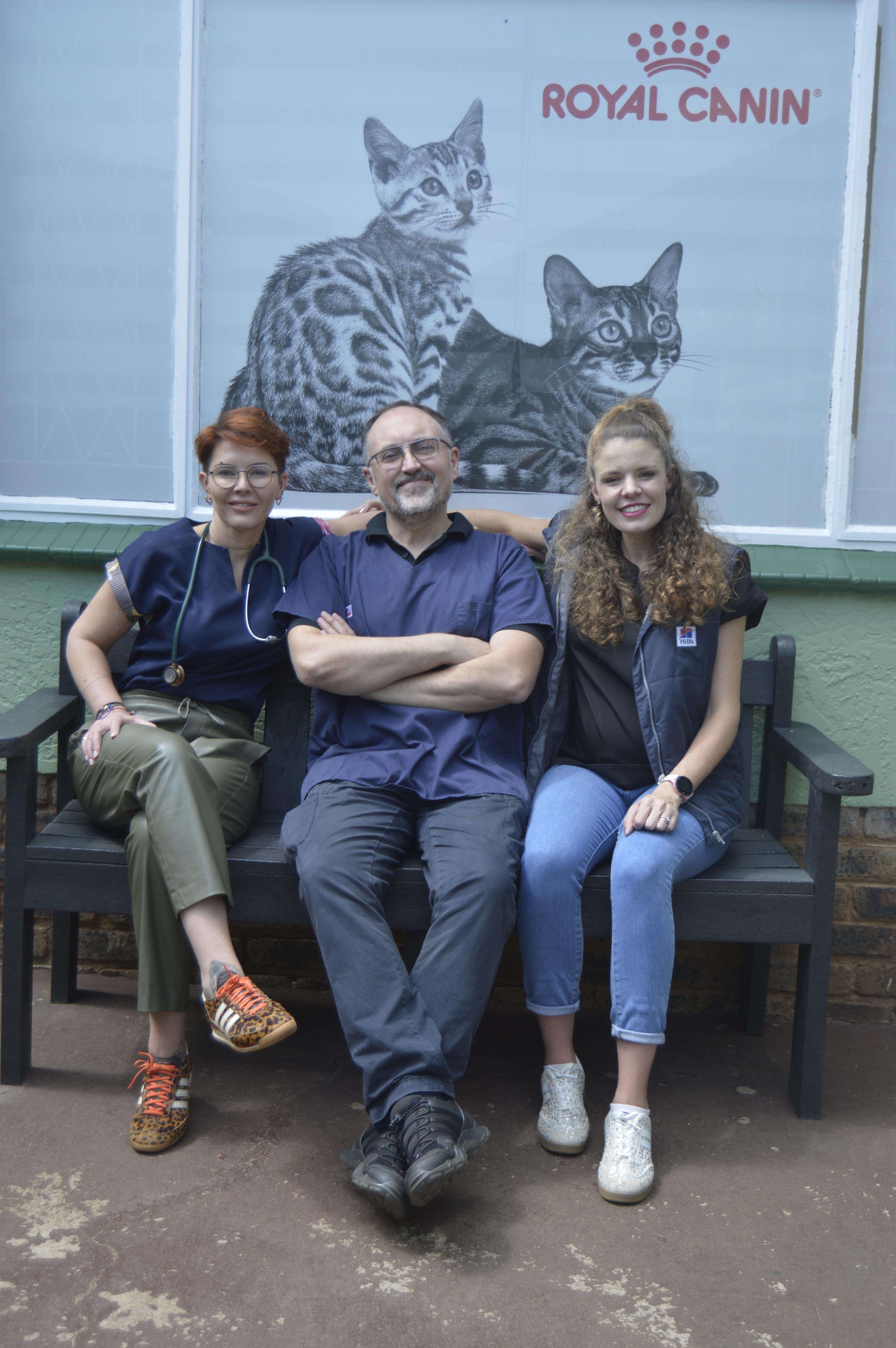 Vet gently examining a happy dog in a bright clinic