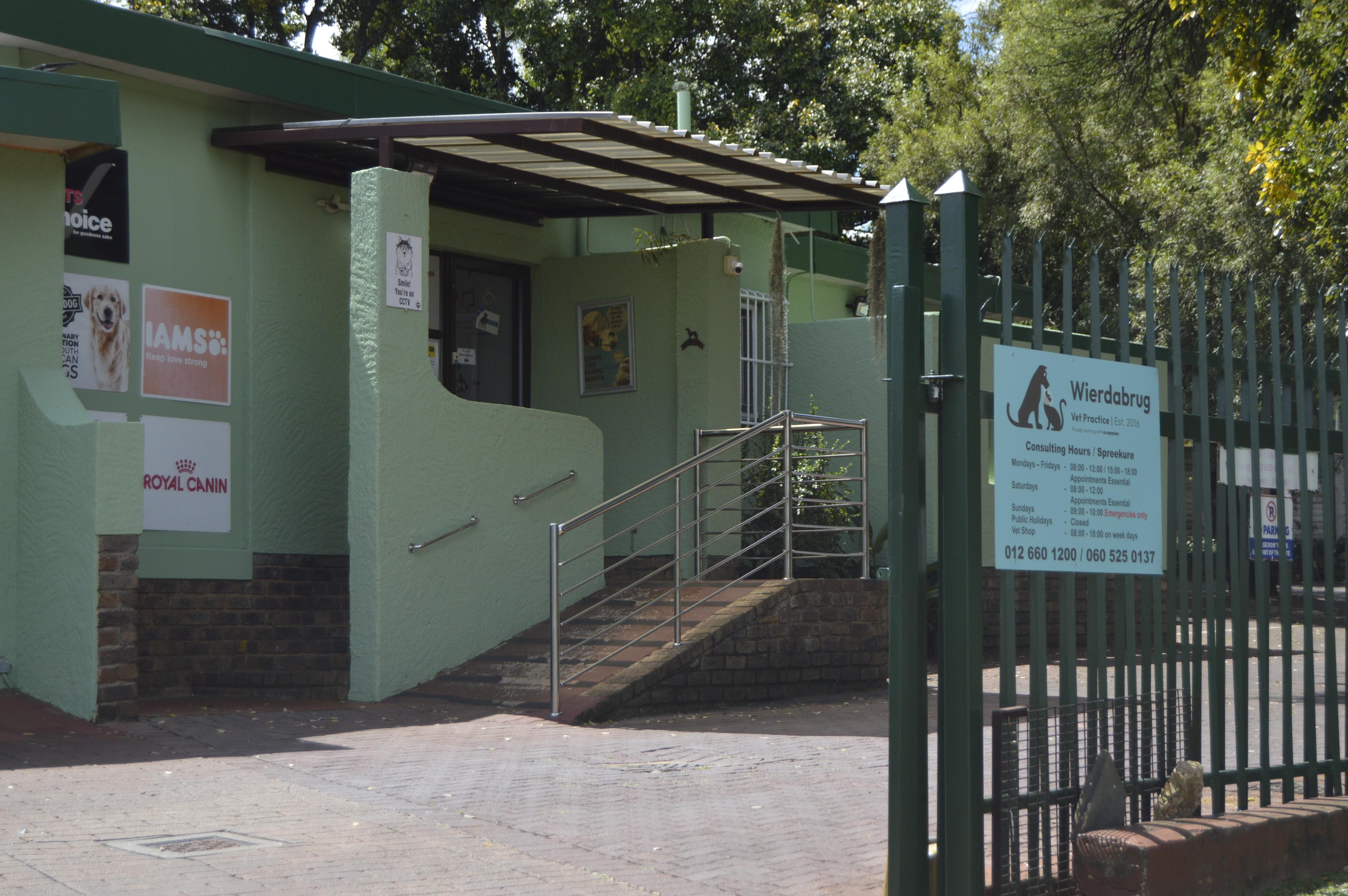 Vet gently examining a happy dog in a bright clinic