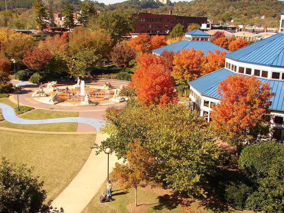 Alliance Deck Builders of Chattanooga logo