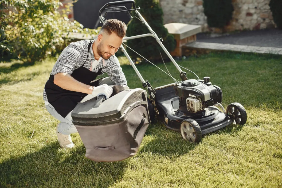 Person tending plants in landscaped garden with rocks
