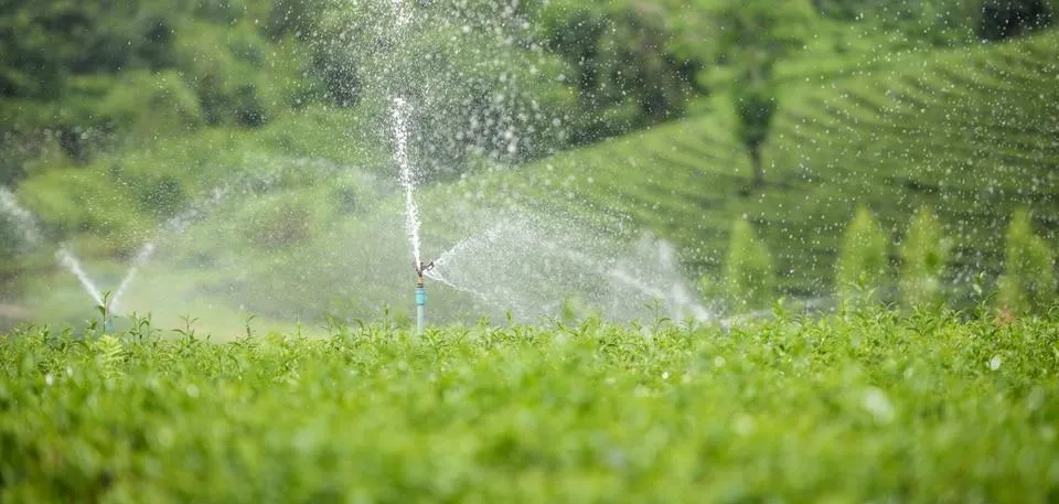 Efficient landscape watering system