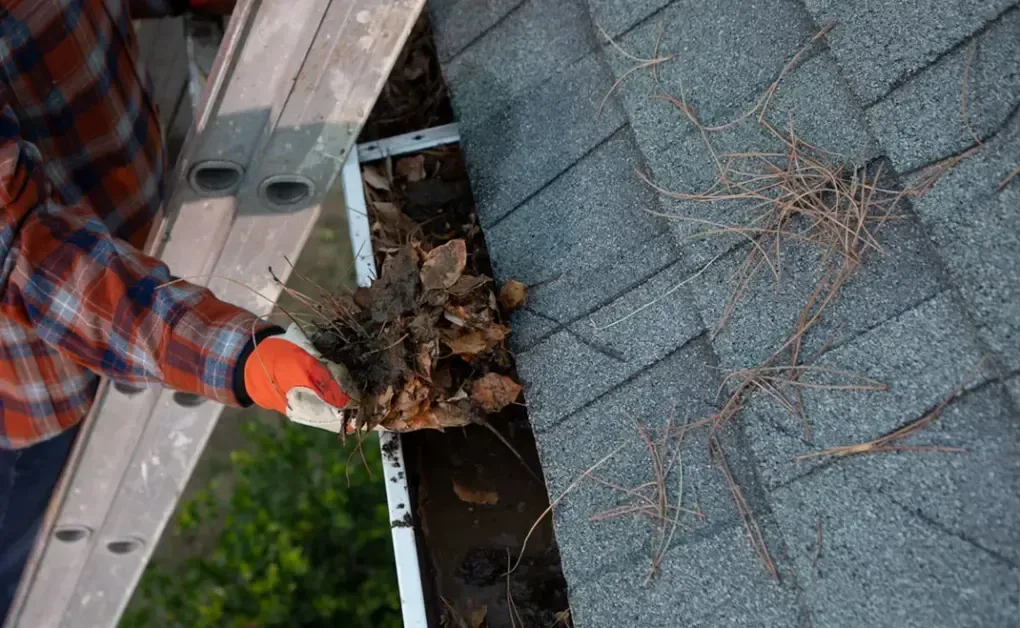 Gutter Cleaning near me| crystal clear solutions Orlando, Florida