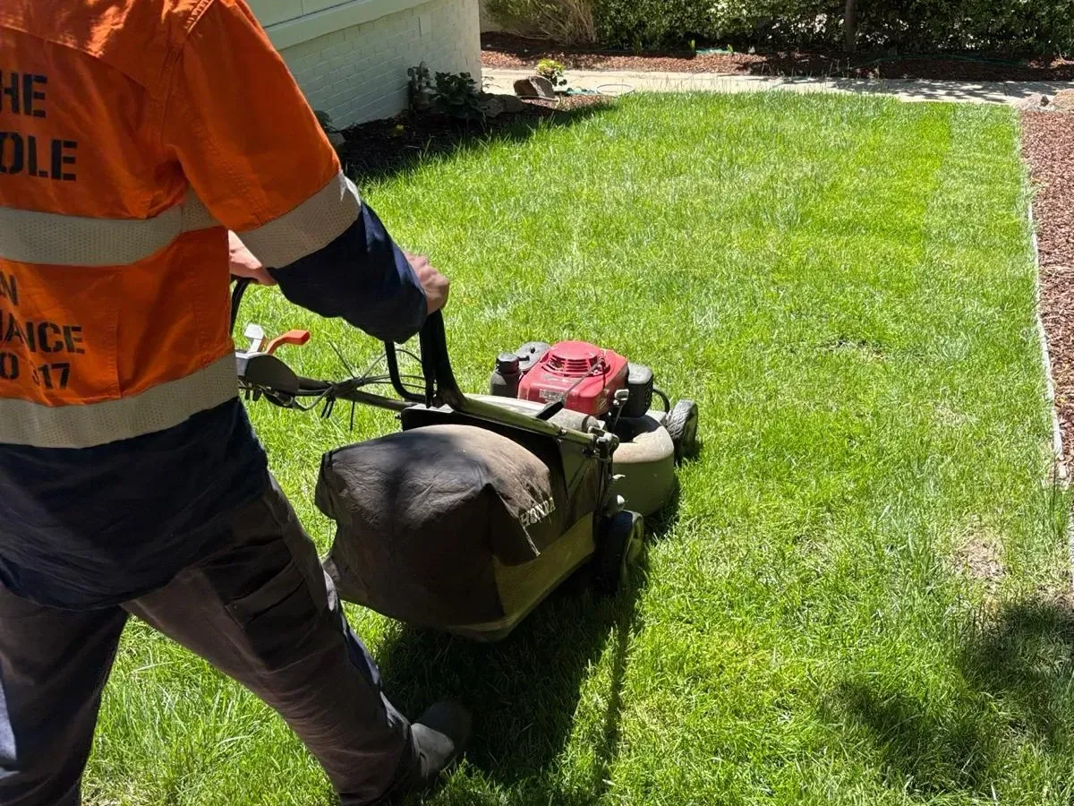 Lawn mowing service Canberra