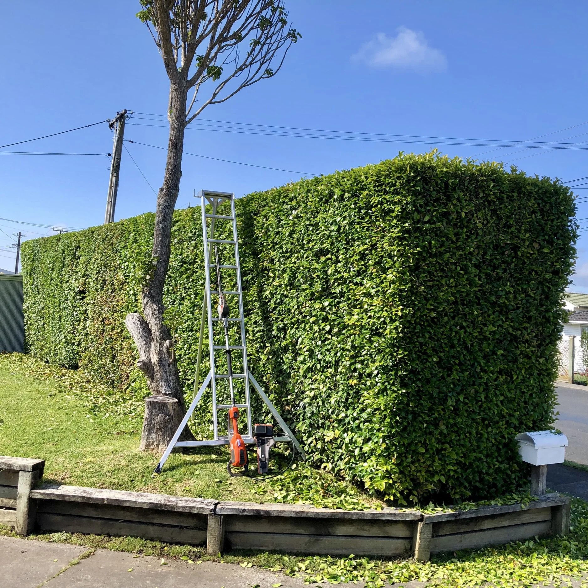 Professional gardener trimming a lush green hedge in a Canberra backyard, with neatly mowed lawn and modern home in the background. The gardener wears a sun hat and uniform, using electric shears. Bright, natural daylight, 3:2 aspect.