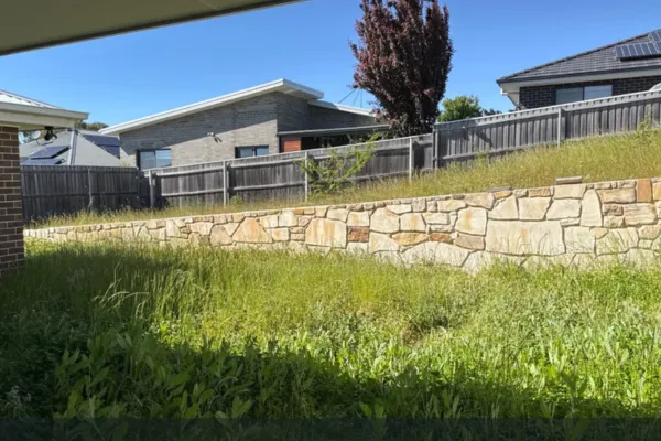 Case Study: Transforming a Neglected Garden into a Vibrant Outdoor Space