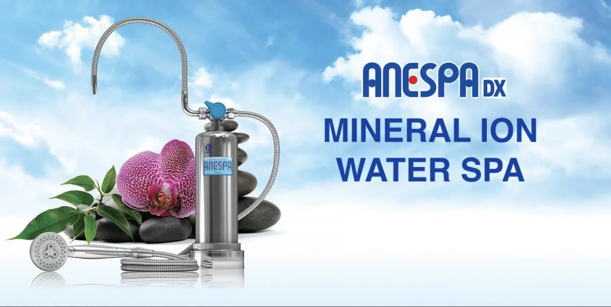 mineral ion filtration system
