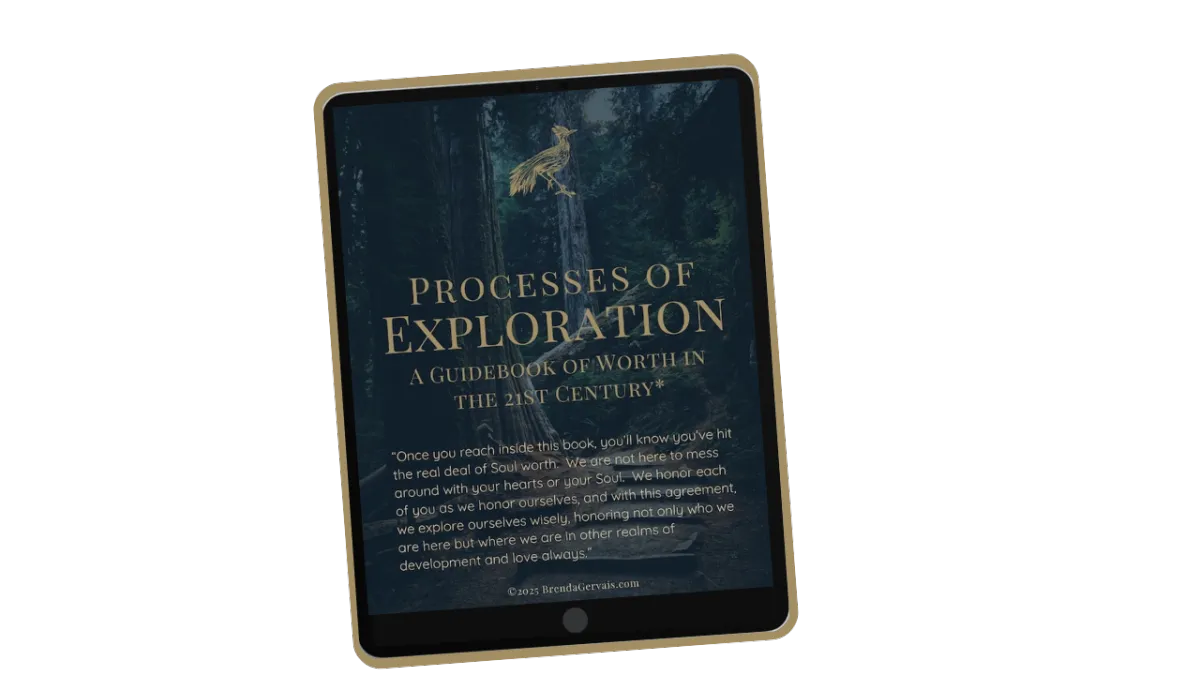 Processes of Exploration: A Guidebook of Worth In the 21st Century