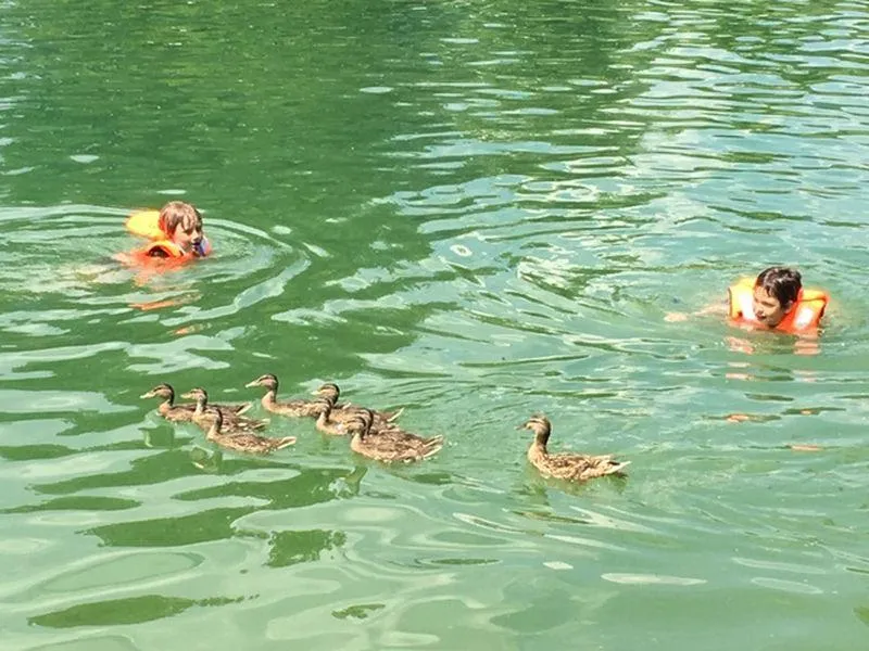 Badesee Bruck Mürzzuschlag