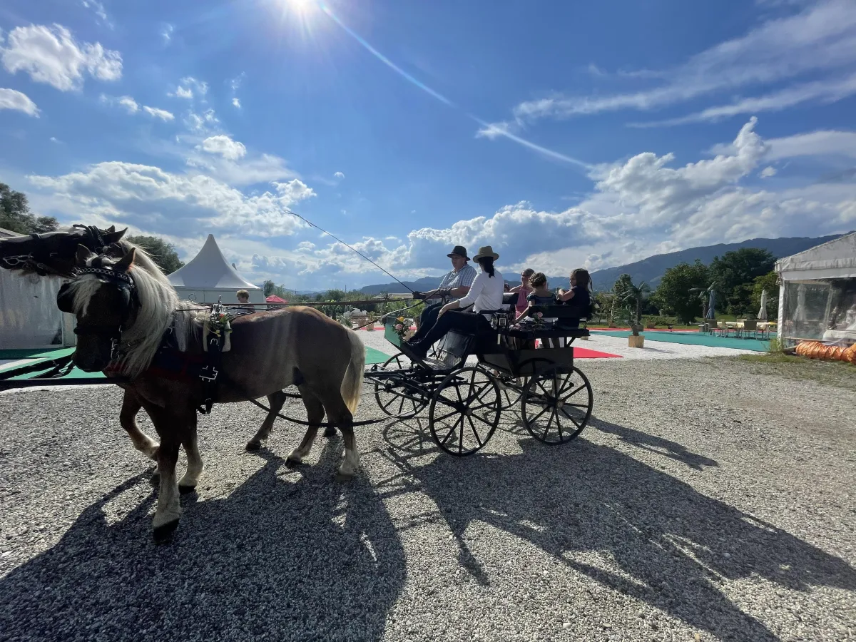 Pferdekutsche für den Empfang Stmk