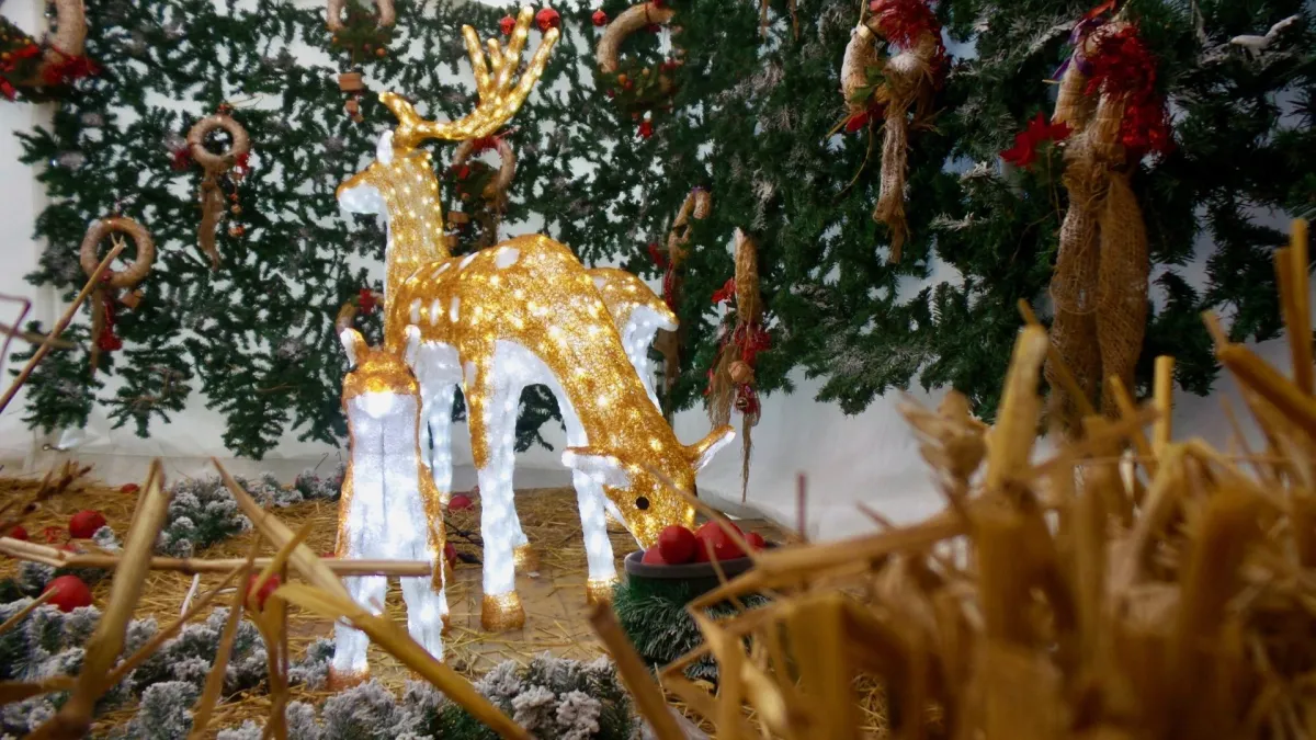 Christmas Markt Kapfenberg