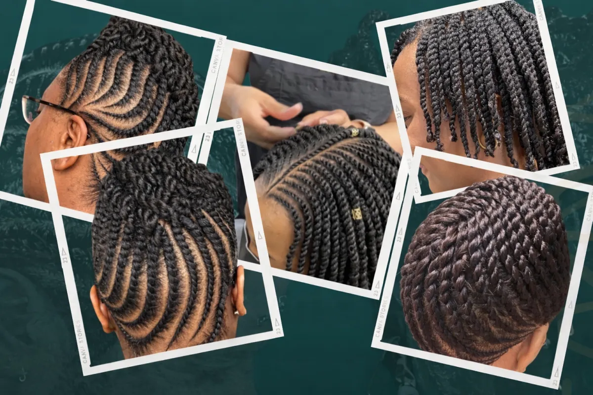 a close up of a purple flower on a tree