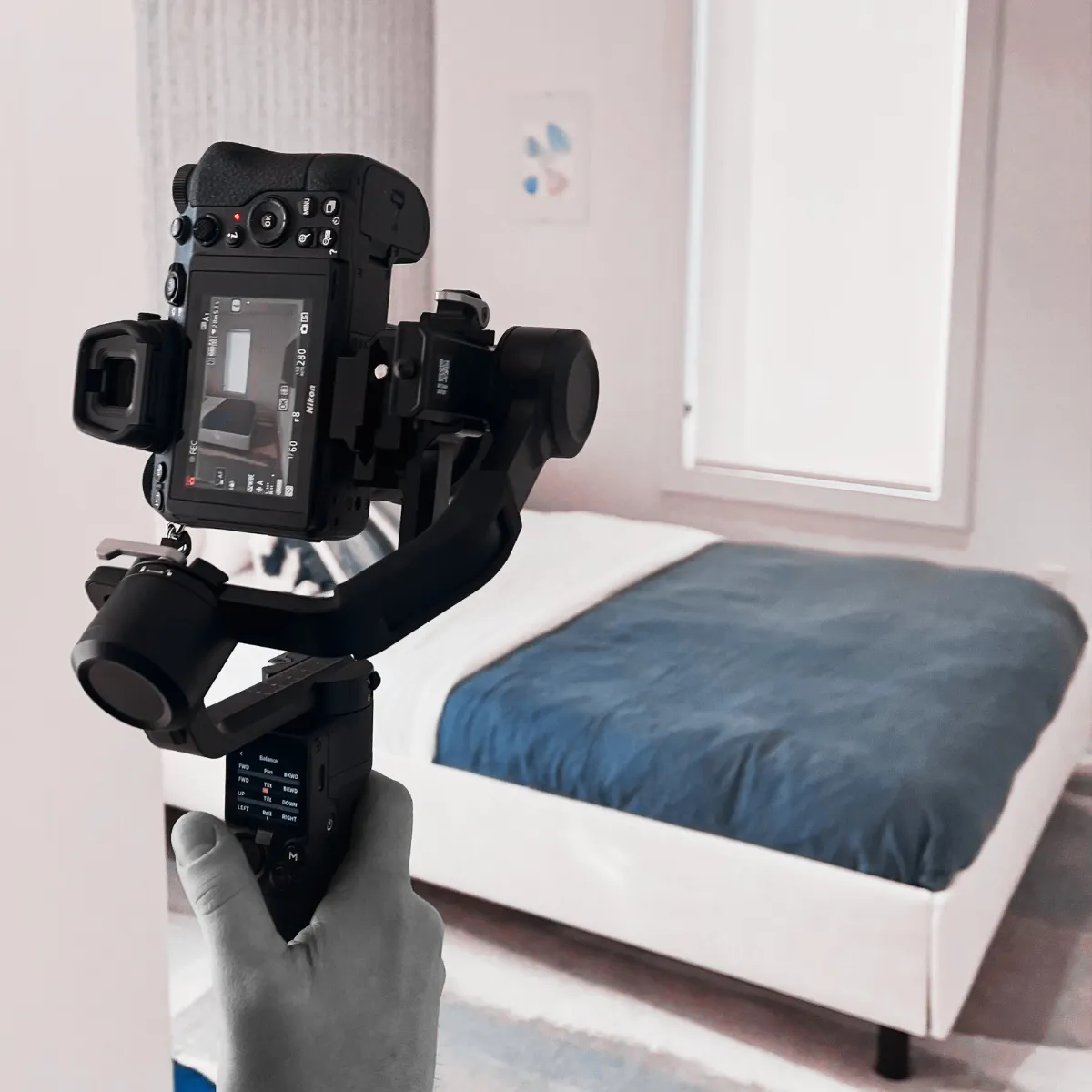 professional photography and videography